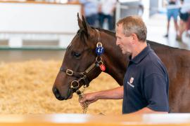 Lot  47 TSS360Tattersalls