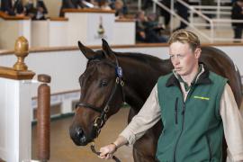 Lot  53 TBK1 1620Tattersalls