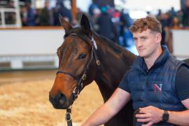 Lot  53 TDY 449Tattersalls