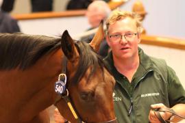 Lot  540 T B1 2485 Tattersalls