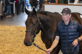 Lot  547 TBK2 1453Tattersalls