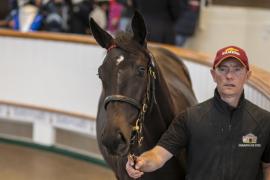 Lot  572 TBK2 1884Tattersalls