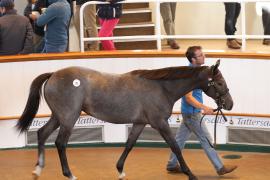 Lot  58 T B1 1108 Tattersalls