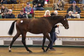 Lot  58 TBK1 1712Tattersalls