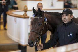 Lot  58 TBK1 1729Tattersalls