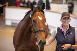 Lot  625 TBK2 2330Tattersalls