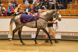 Lot  638 THIT 037Tattersalls