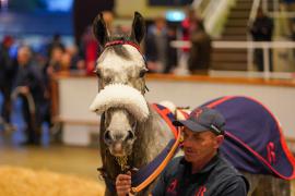 Lot  638 THIT 055Tattersalls