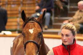 Lot  649 T B K2 1861 Tattersalls