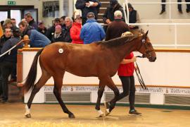 Lot  649 T B K2 1864 Tattersalls