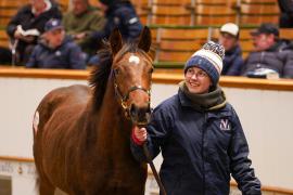 Lot  661 TDF 1162Tattersalls