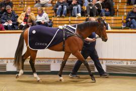 Lot  667 THIT 376Tattersalls