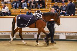 Lot  667 THIT 384Tattersalls