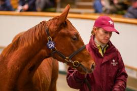 Lot  670 TDF 1297Tattersalls