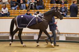 Lot  672 THIT 544Tattersalls