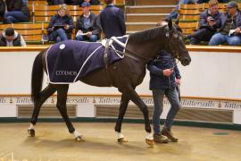 Lot  672 THIT 677Tattersalls