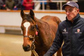 Lot  675 TDF 1512Tattersalls