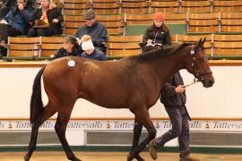 Lot  676 T B K2 1877 Tattersalls