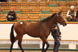 Lot  676 T B K2 1881 Tattersalls