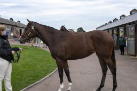 Lot  68 1698 TBK1Tattersalls