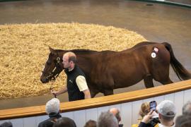 Lot  68 TBK1 1816Tattersalls