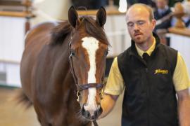 Lot  68 TBK1 2378Tattersalls