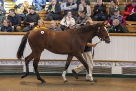 Lot  68 TBK1 2383Tattersalls