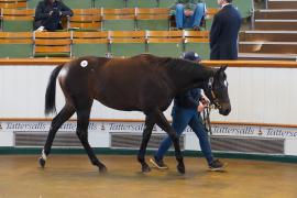 Lot  68 TDY 966Tattersalls