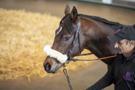 Lot  68 THIT 0207Tattersalls