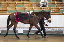 Lot  68 THIT 0228Tattersalls