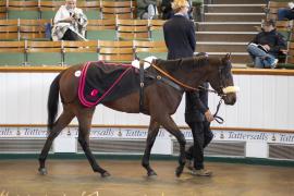 Lot  68 THIT 0235Tattersalls