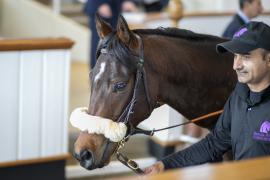 Lot  68 THIT 0283Tattersalls