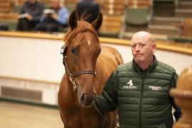 Lot  693 TBK2 2881Tattersalls