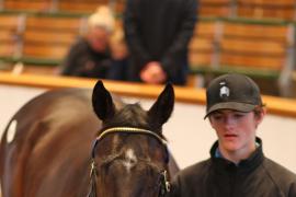 Lot  694 T B K2 2125 Tattersalls