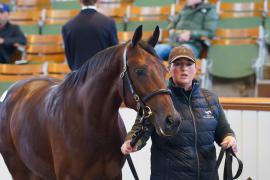 Lot  69 TDY 874Tattersalls