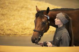 Lot  707 TBK2 3230Tattersalls