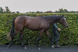 Lot  72 0199 TBK1Tattersalls