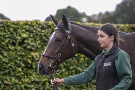 Lot  72 0225 TBK1Tattersalls