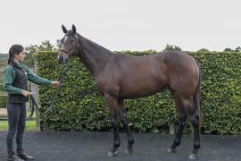 Lot  72 1724 TBK1Tattersalls