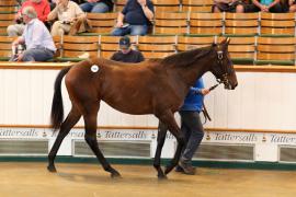 Lot  724 TBK2 0363Tattersalls