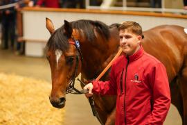 Lot  727 THIT 748Tattersalls