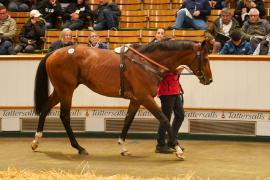 Lot  727 THIT 760Tattersalls