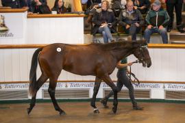 Lot  72 TBK1 2179Tattersalls