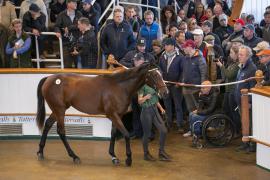 Lot  72 TBK1 2296Tattersalls