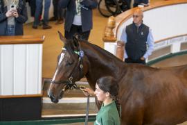 Lot  72 TBK1 2346Tattersalls