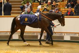 Lot  732 THIT 1210Tattersalls