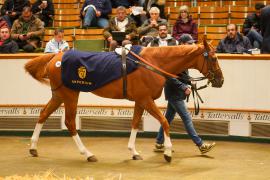 Lot  733 THIT 953Tattersalls