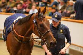 Lot  734 THIT 1089Tattersalls