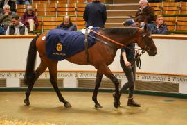 Lot  734 THIT 1099Tattersalls