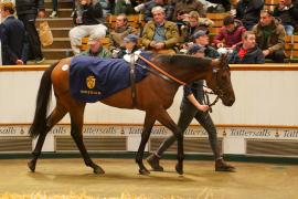 Lot  734 THIT 916Tattersalls